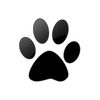 Captcha image 5116